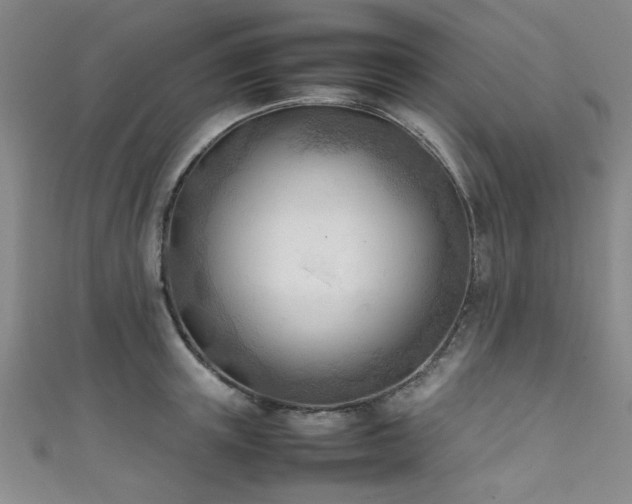 X0000111600851200907161551