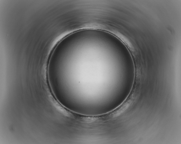 X0000111600854200907161551