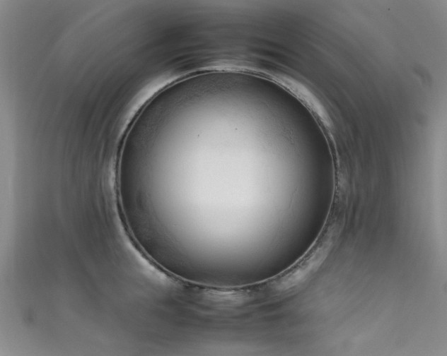 X0000111600855200907161551