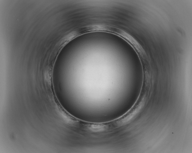 X0000111600857200907161551