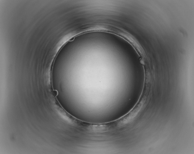 X0000111600858200907161551