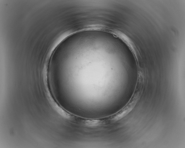 X0000111600859200907161551