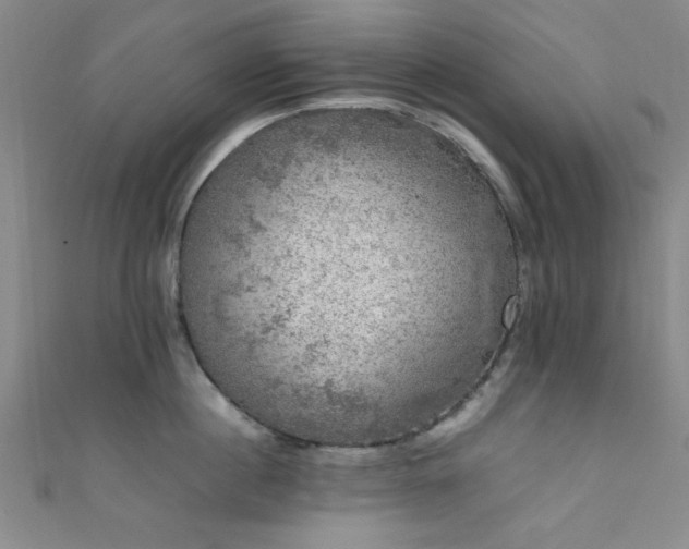 X0000111600860200907161551