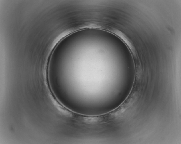 X0000111600861200907161551