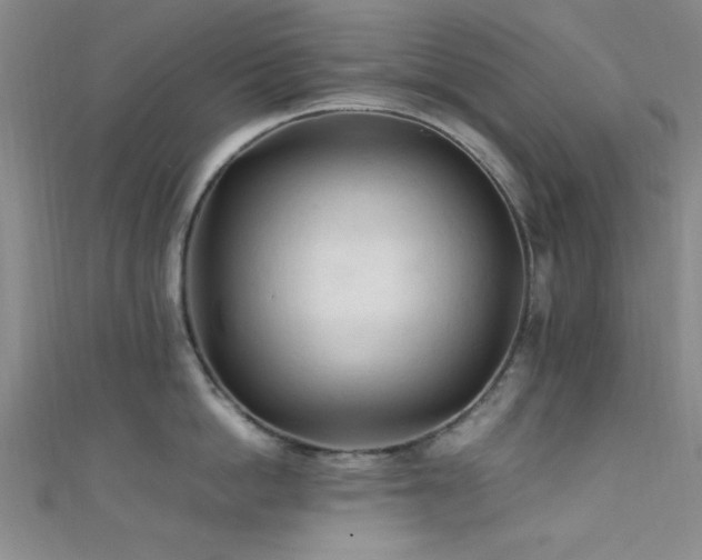 X0000111600862200907161551