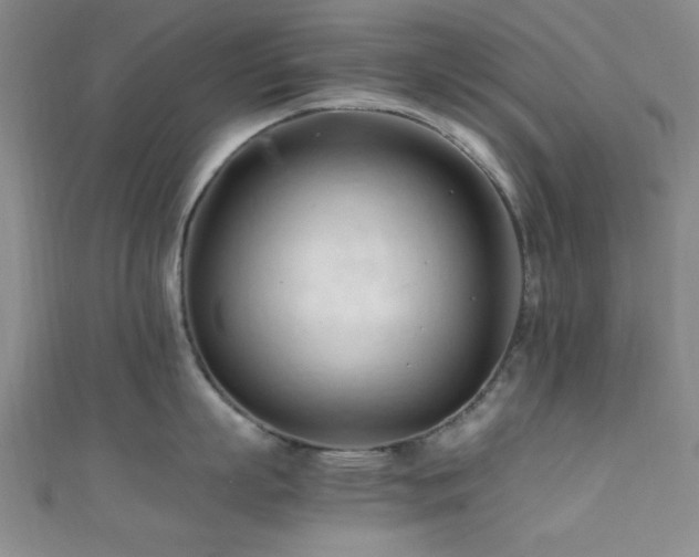 X0000111600863200907161551