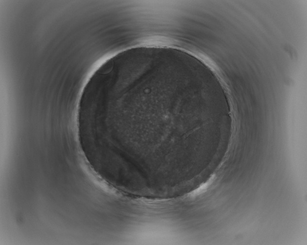X0000111600864200907161551