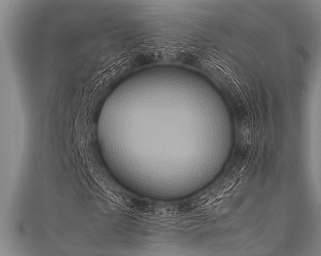X0000111600865200907161551