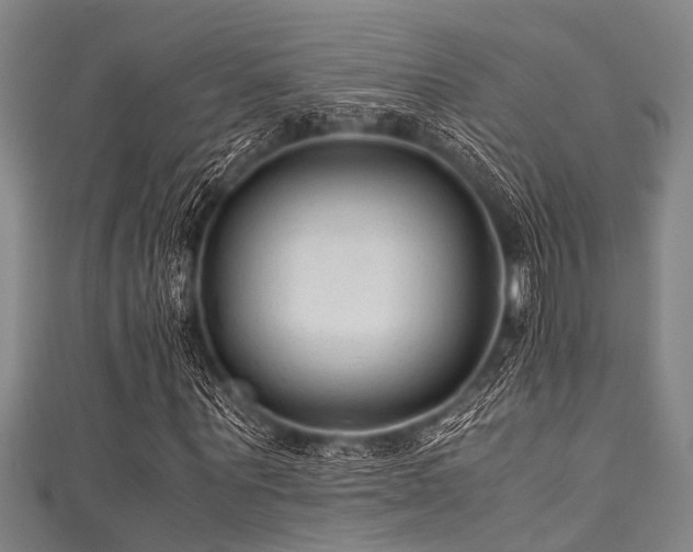 X0000111600867200907161551