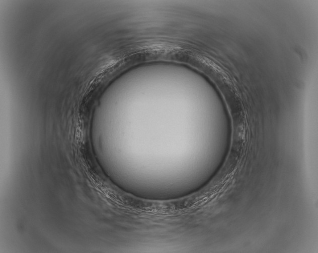 X0000111600869200907161551