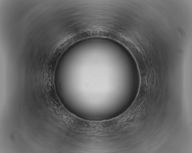 X0000111600870200907161551