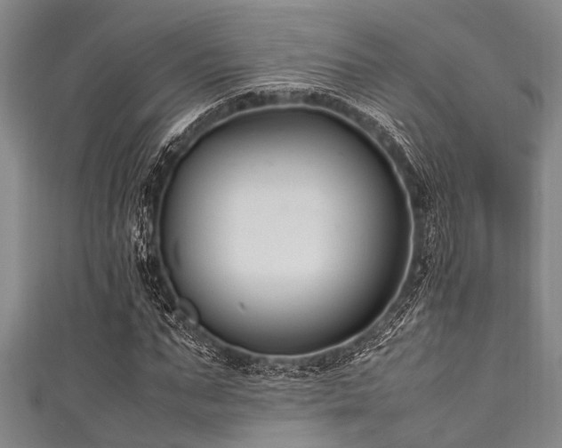 X0000111600871200907161551