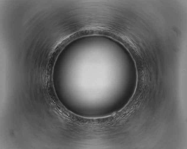 X0000111600872200907161551
