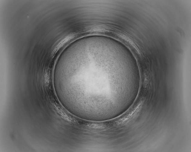 X0000111600874200907161551