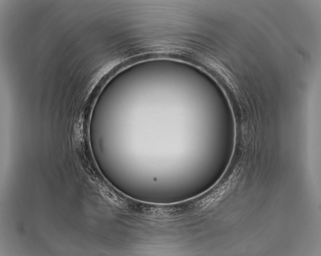 X0000111600875200907161551