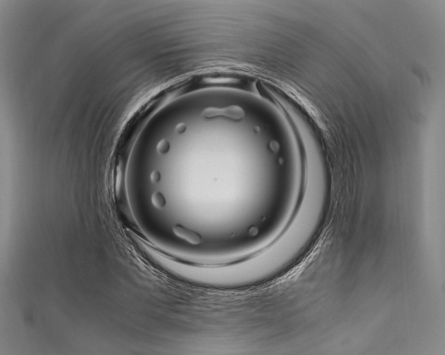 X0000111600877200907161551