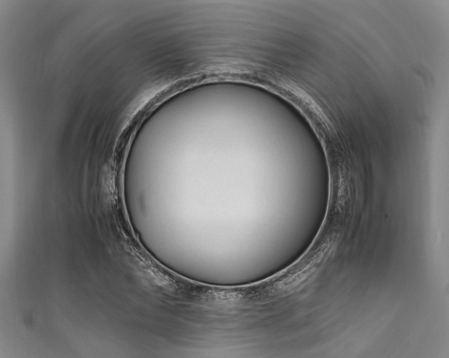 X0000111600878200907161551