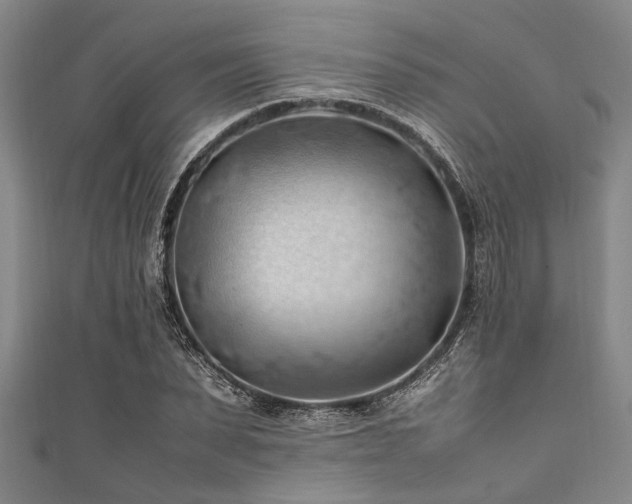 X0000111600879200907161551
