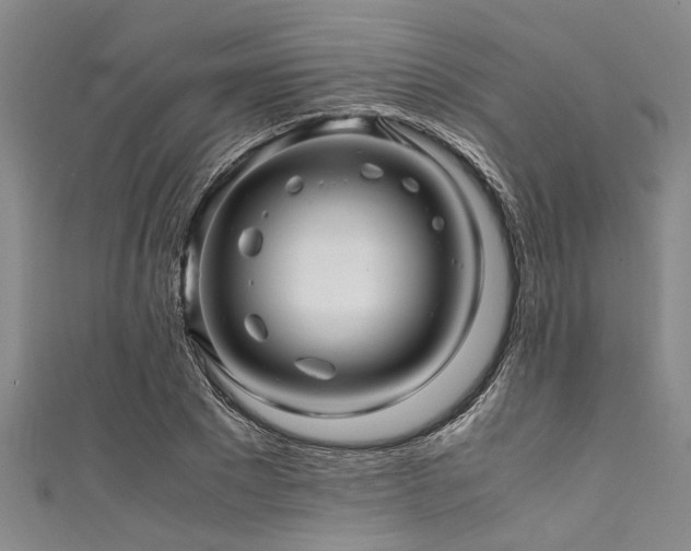 X0000111600881200907161551
