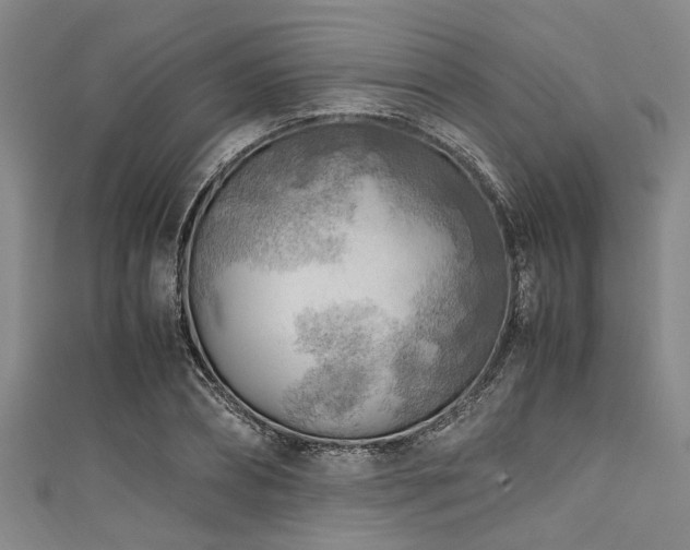 X0000111600882200907161550