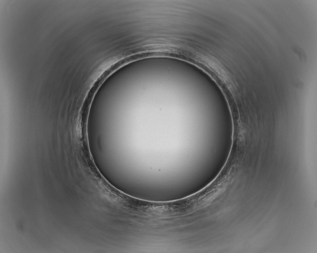 X0000111600883200907161550