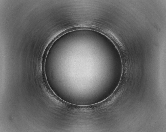 X0000111600884200907161550
