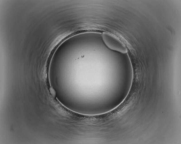 X0000111600885200907161550