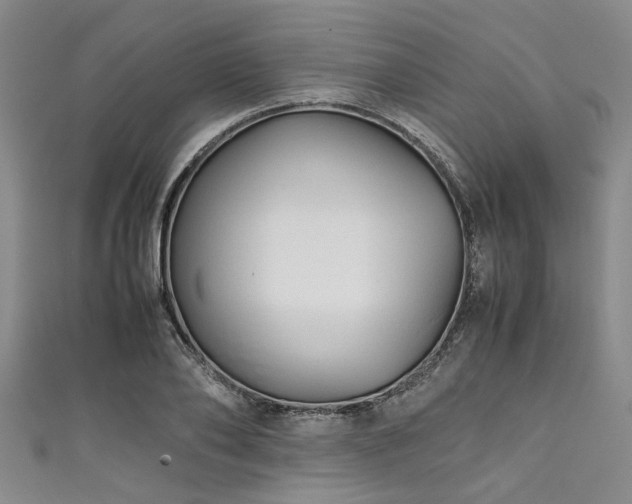 X0000111600886200907161550