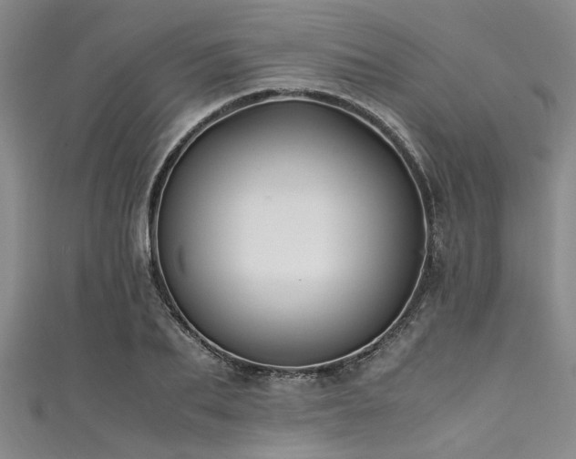 X0000111600887200907161550