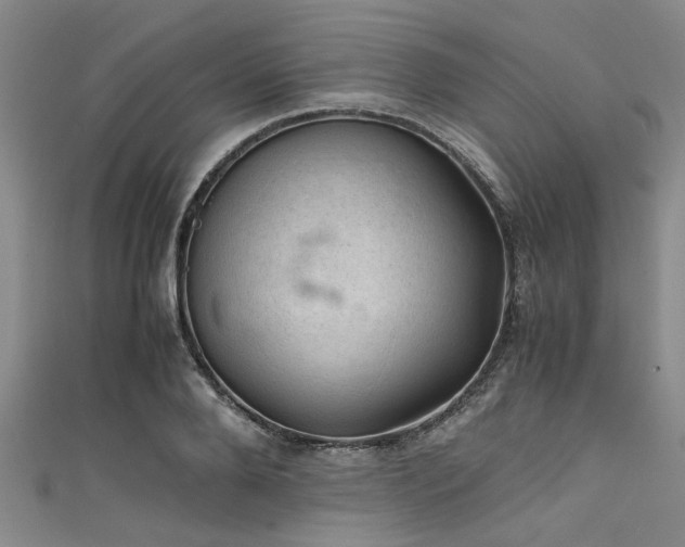 X0000111600888200907161550