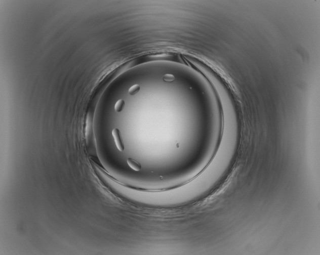 X0000111600889200907161550
