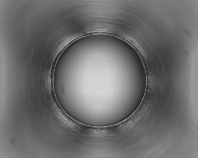 X0000111600890200907161550