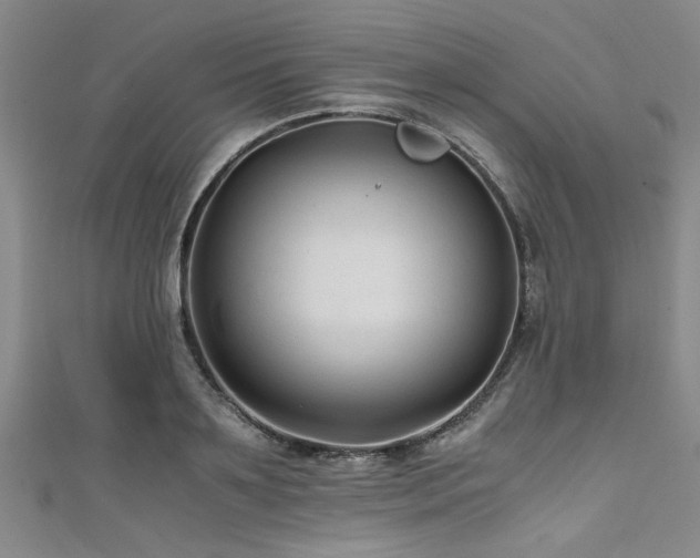 X0000111600891200907161550