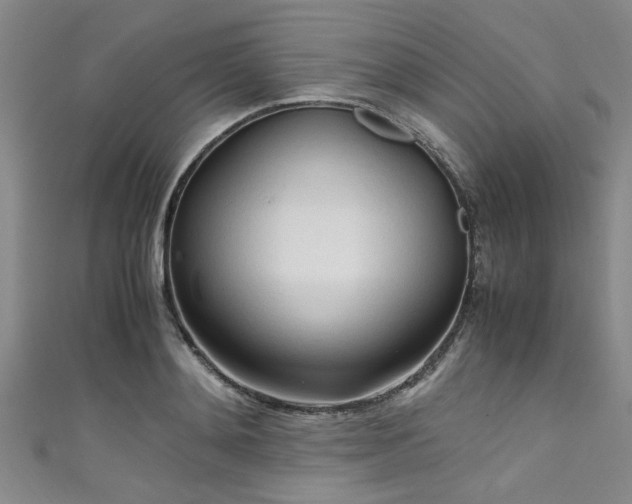 X0000111600892200907161550