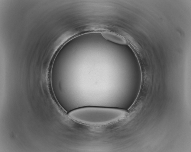X0000111600893200907161550