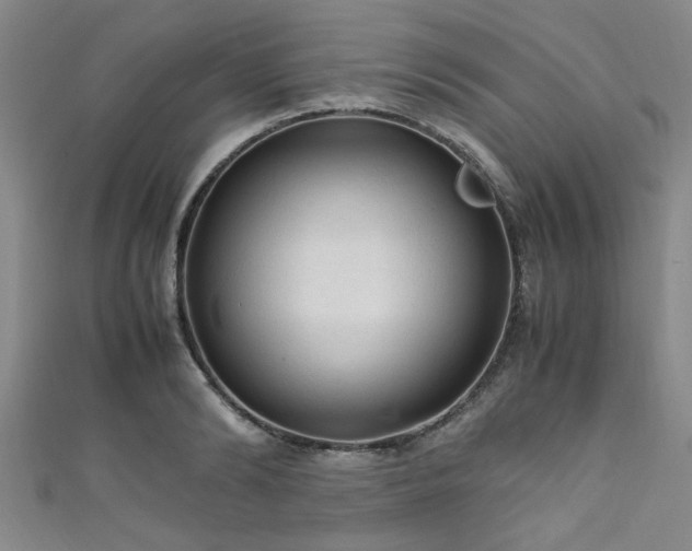 X0000111600894200907161550
