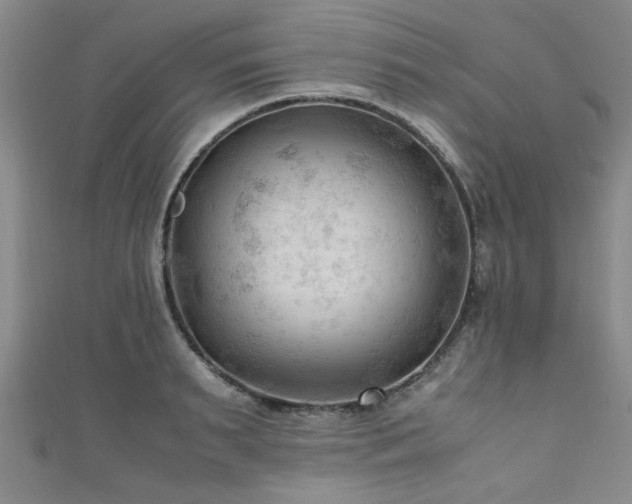 X0000111600895200907161550
