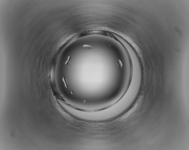 X0000111600897200907161550
