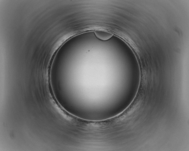X0000111600898200907161550