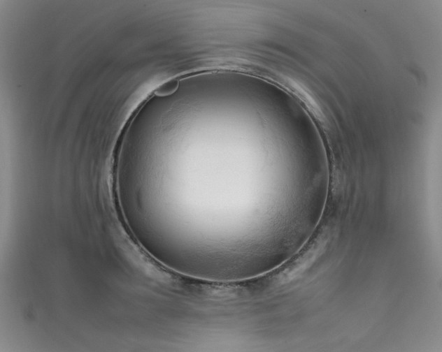 X0000111600899200907161550