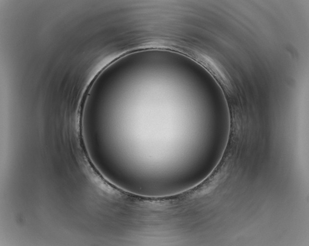 X0000111600900200907161550