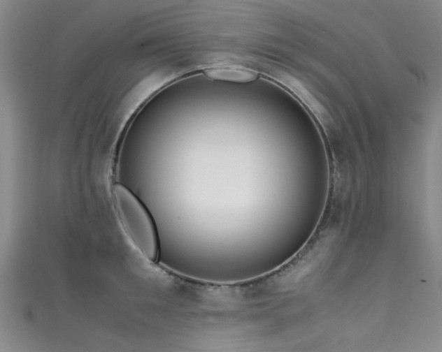 X0000111600901200907161550