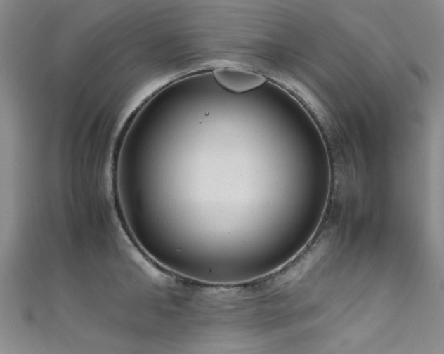 X0000111600902200907161550