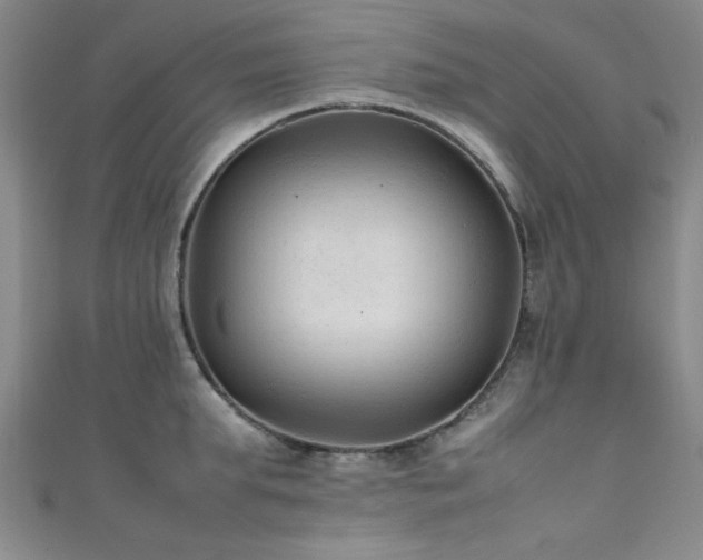 X0000111600903200907161550