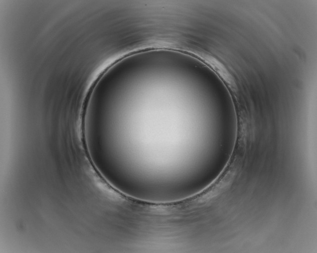 X0000111600904200907161550