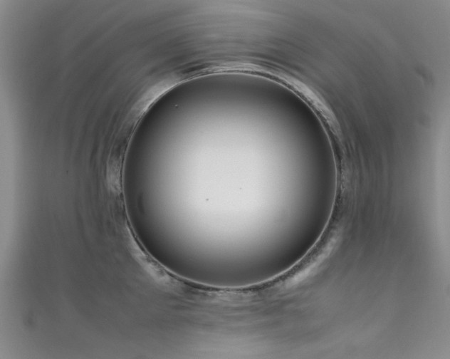 X0000111600905200907161550