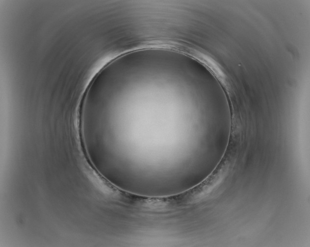 X0000111600907200907161550