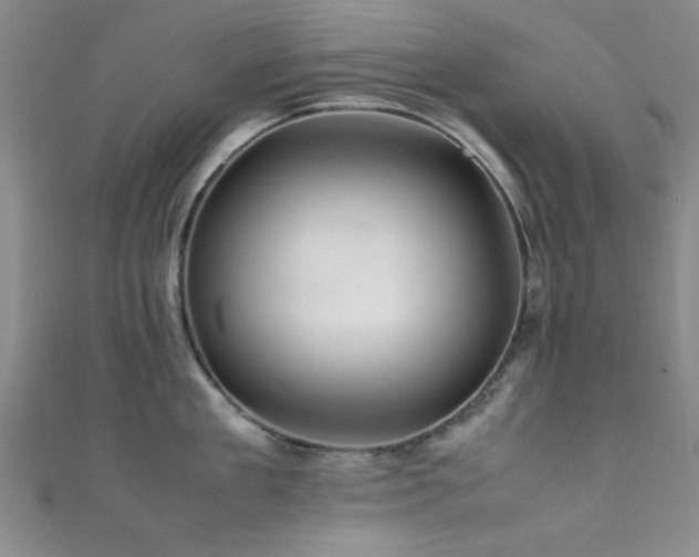 X0000111600909200907161550