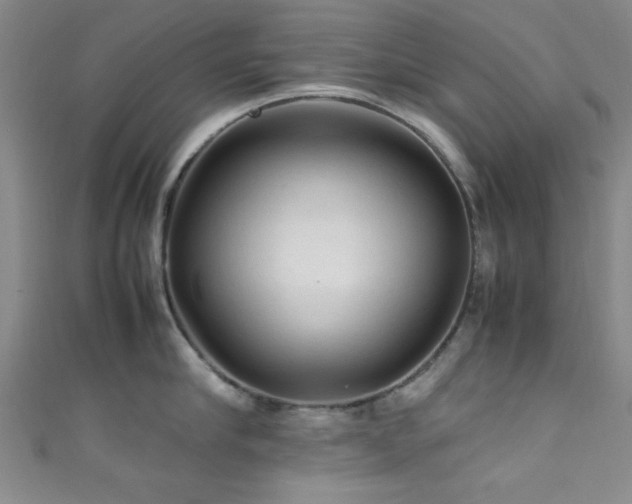 X0000111600910200907161550