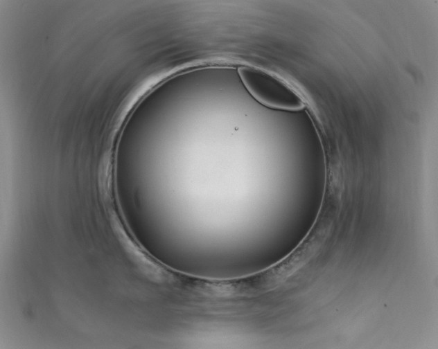 X0000111600911200907161550